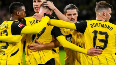 مباراة بروسيا دورتموند ضد شتورم غراتس اليوم مباشر في دوري أبطال أوروبا 2024 1 بروسيا دورتموند