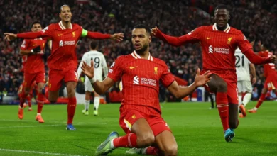 مباراة ليفربول وتوتنهام بث مباشر اليوم في الدوري الإنجليزي 2024 10 ليفربول