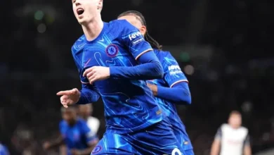 مباراة تشيلسي ضد فولهام اليوم بث مباشر في الدوري الإنجليزي 2024 2 تشيلسي