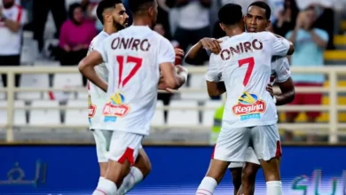 مباراة الزمالك وبتروجيت اليوم في الجولة 14 من الدوري المصري 4 مباراة الزمالك وبتروجيت في الدوري المصري