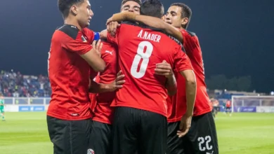 مصر وجنوب أفريقيا للمحليين